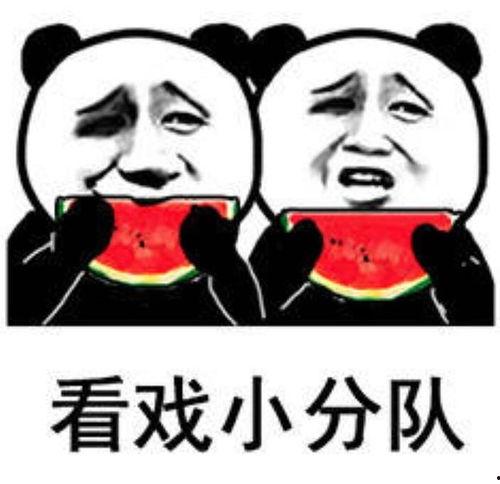 吃瓜表情包的意思,揭秘网络表情包背后的社会现象